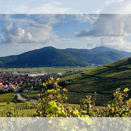 Les Toits De Apartament *